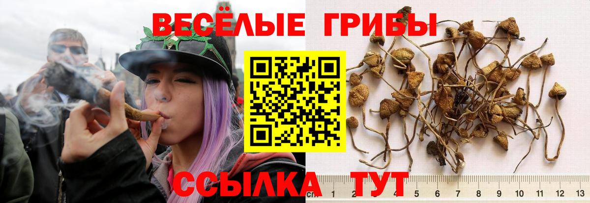 Галлюциногенные грибы GOLDEN TEACHER Аша